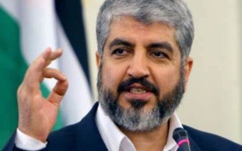 Hamas leader Zaheer Naji joins PCML's Gaza rally