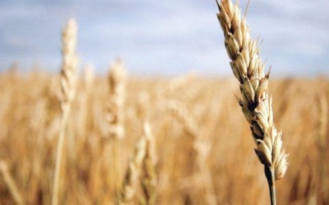 Private investment in grain storage discussed