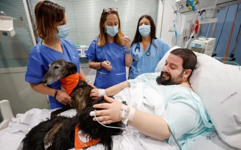 Spanish hospital enlists therapy dogs to boost ICU patients' morale