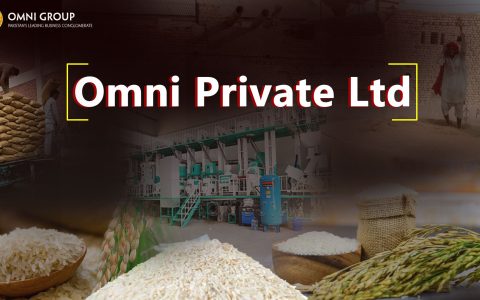 Job Creation at Omni Private Ltd