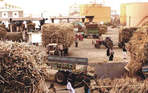 A Comparative Analysis: Khoski Sugar Mills vs Other Sugar Mills in Pakistan